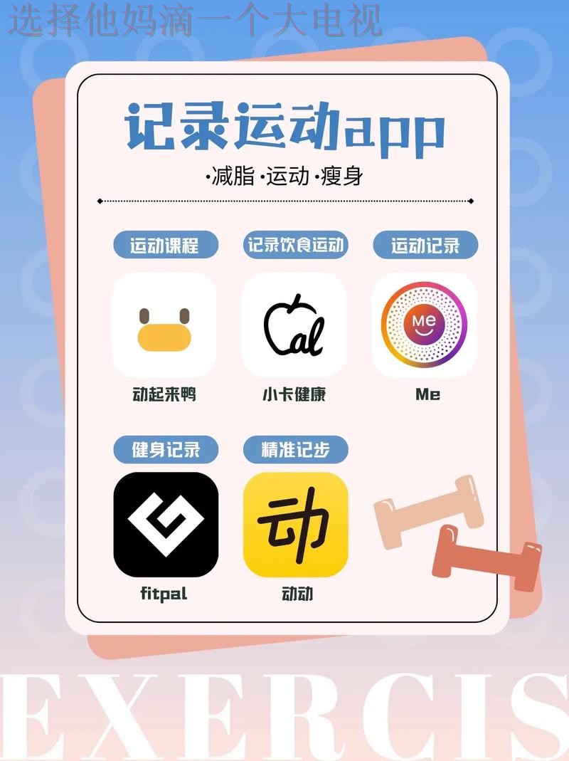 全面解析体育APP官网功能及使用技巧 全面解析体育APP官网功能及使用技巧
