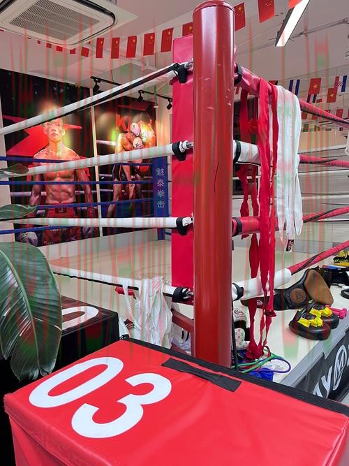 探索金年会体育综合版带来的独特体验 探索金年会体育综合版带来的独特体验